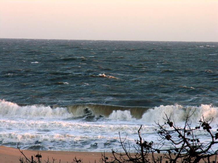 Terrenos en Sauce de Portezuelo – Chihuahua - Ocean Park - Piedras del Chileno - Punta del Este 