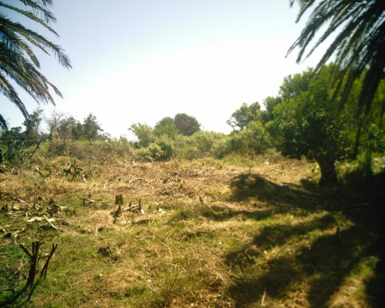 Foto Terreno en Venta en Sauce de, Maldonado - U$D 25.000 - TEV6224 - BienesOnLine