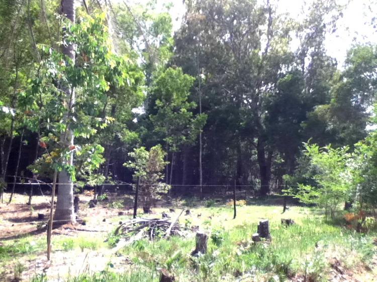 Terreno en esquina en Sauce de Portezuelo - Maldonado