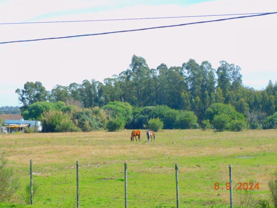 Foto VENDO CAMPO DE 1 HECTAREA  DE 2720.mts CPV7824