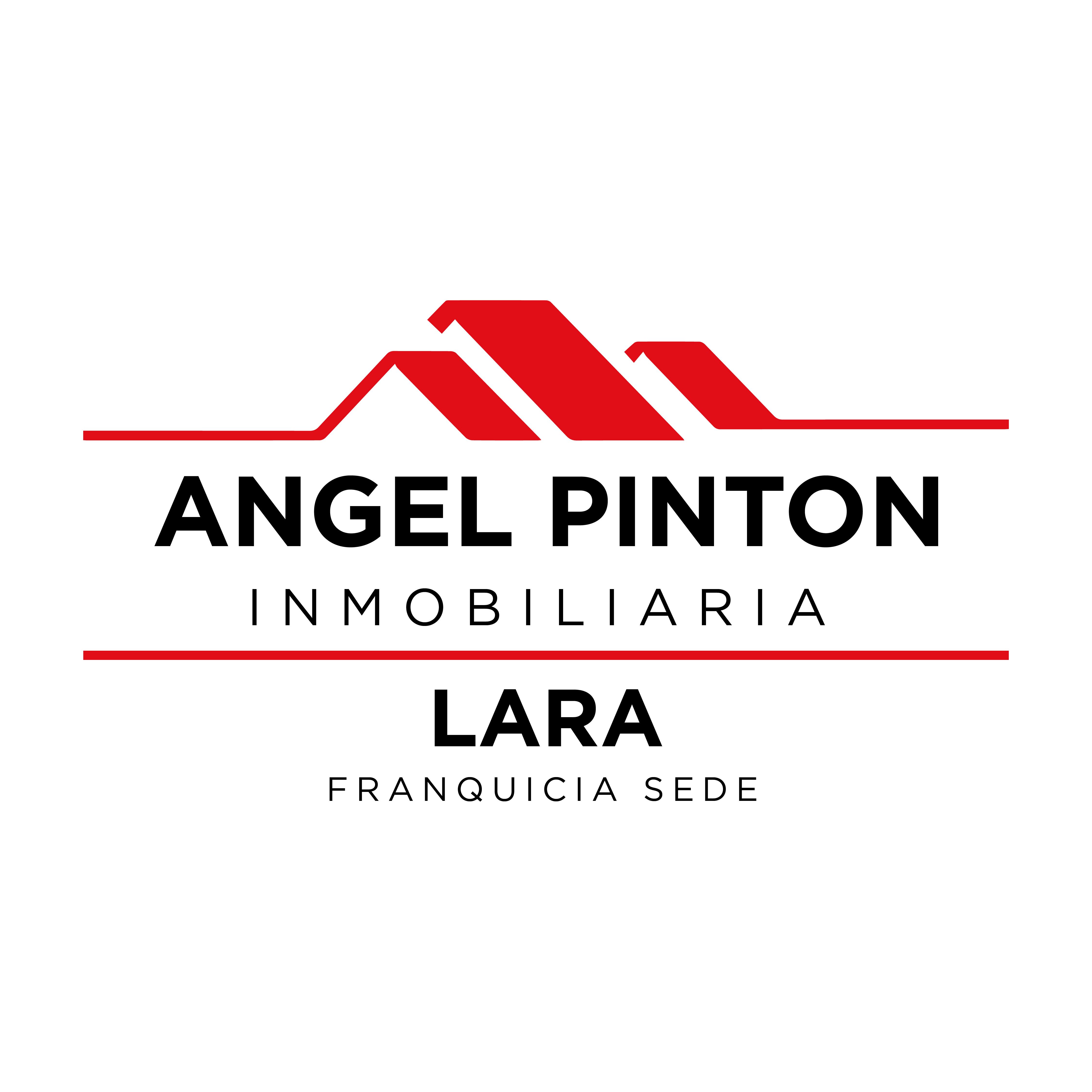 ANGEL PINTON INMOBILIARIA FS LARA