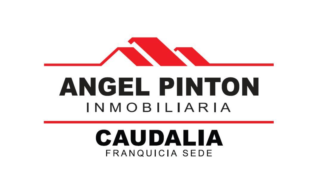 Angel Pinton Inmobiliaria.