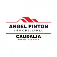 XAVIER ZAMBRANO / ANGEL PINTON INMOBILIARIA FS CAUDALIA