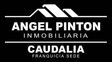 Inmobiliaria Ángel Pinton sede Caudalia