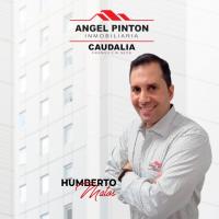 Humberto Matos (Angel Pinton Inmobiliaria Caudalia)