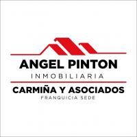 MARIA EUGENIA PORTILLO   ANGEL PINTON INMOBILIARIA FS CARMINA Y ASOCIADOS