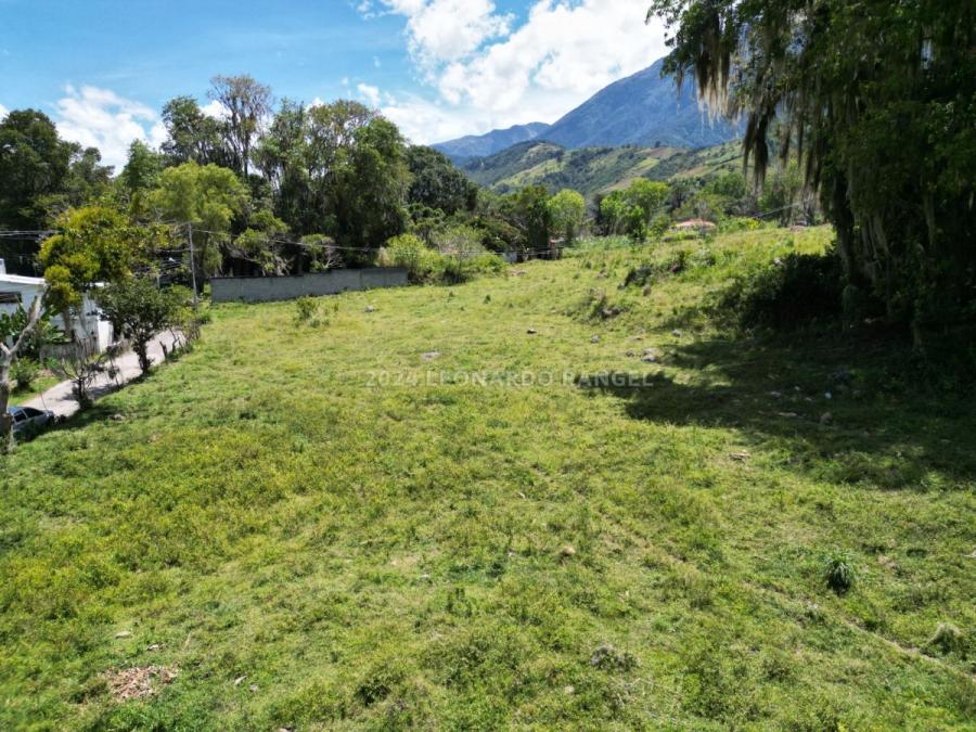 Foto Terreno en Venta en Mucuy, Mrida, Mrida - U$D 9.500 - TEV231482 - BienesOnLine