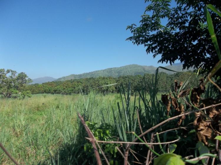 Amplio terreno en Yagua