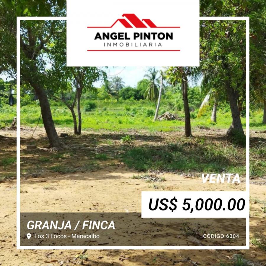 Foto Finca en Venta en Venancio Pulgar, Maracaibo, Zulia - 3 hectareas - U$D 5.000 - FIV241023 - BienesOnLine