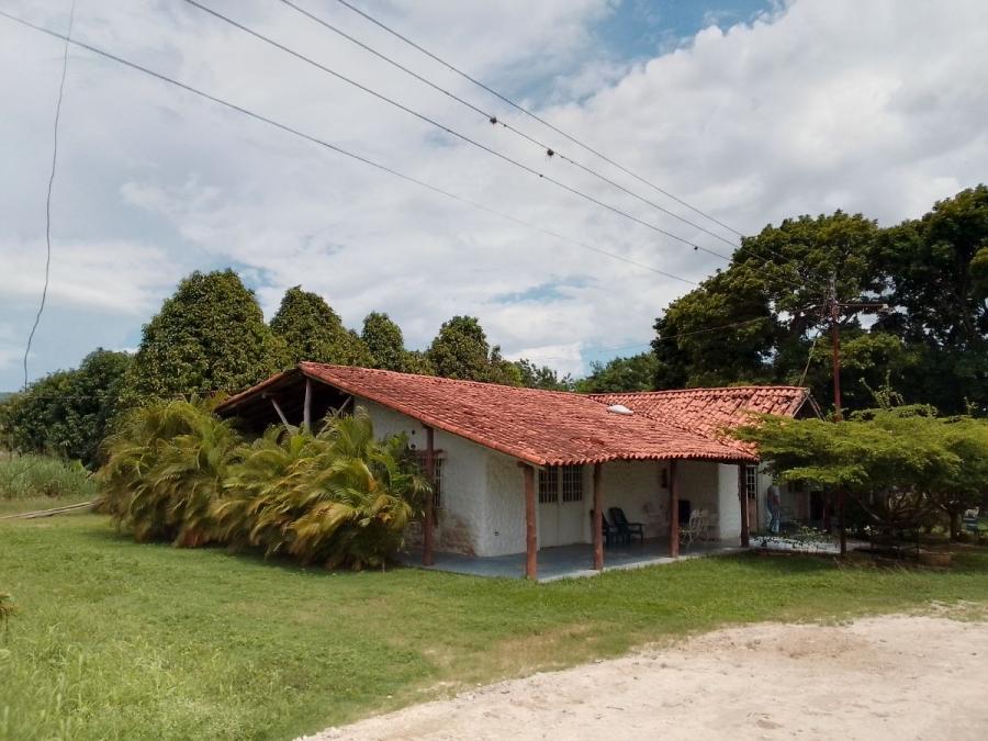 Foto Finca en Venta en YAGUA, YAGUA, Carabobo - U$D 18.000 - FIV236612 - BienesOnLine