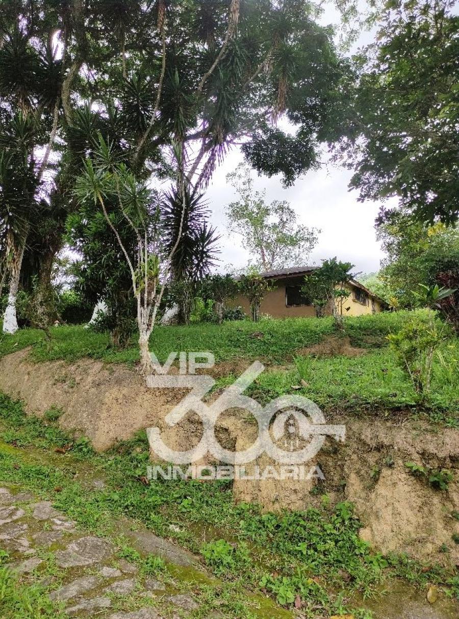 Foto Finca en Venta en Canoabi, Bejuma, Carabobo - U$D 42.000 - FIV230588 - BienesOnLine