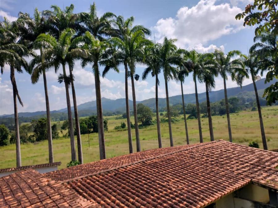 Foto Finca en Venta en Valencia, Valencia, Carabobo - U$D 190.000 - FIV234366 - BienesOnLine