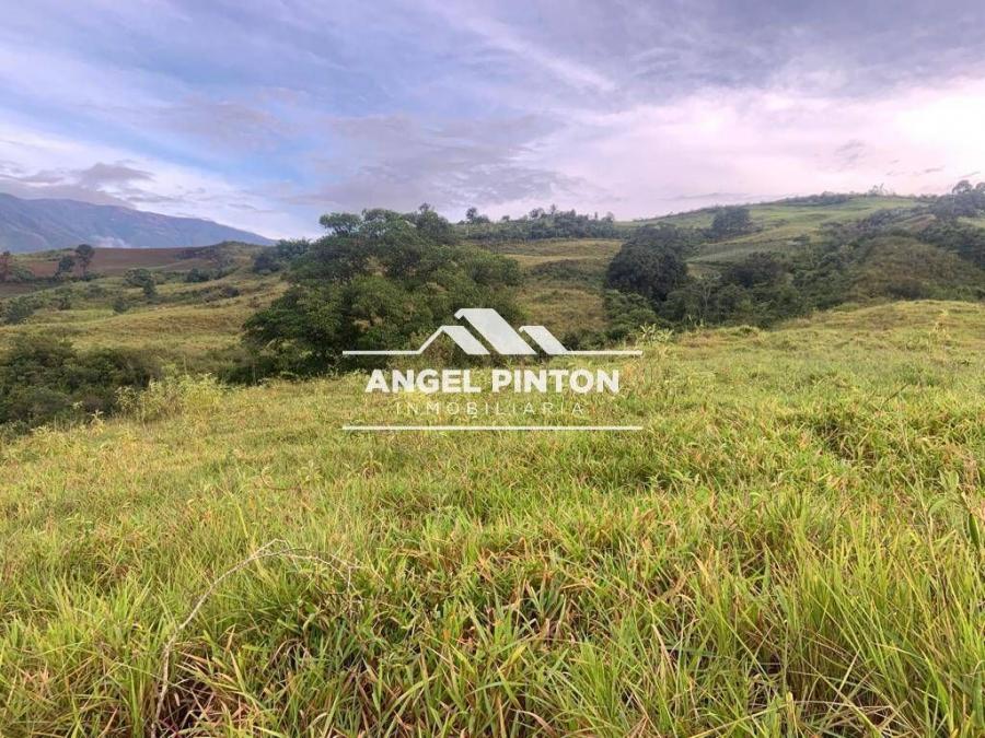 FINCA EN VENTA EN TRUJILLO API 3777