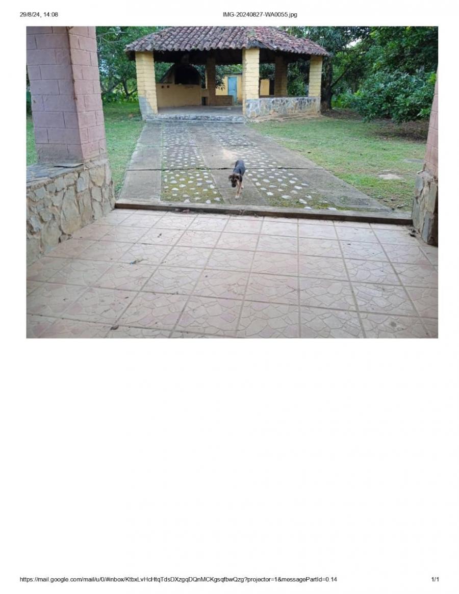 Foto Finca en Venta en BEJUMA, ALTOS DE REYES, Carabobo - U$D 75.000 - FIV235323 - BienesOnLine