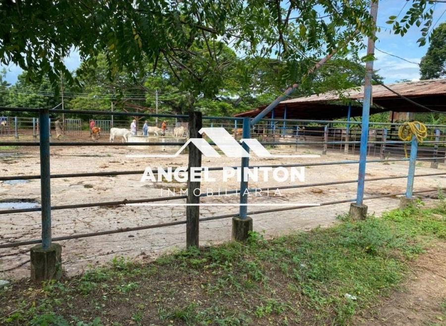 FINCA UBICADA EN VENTA EN MACHIQUES DE PERIJA API 6684