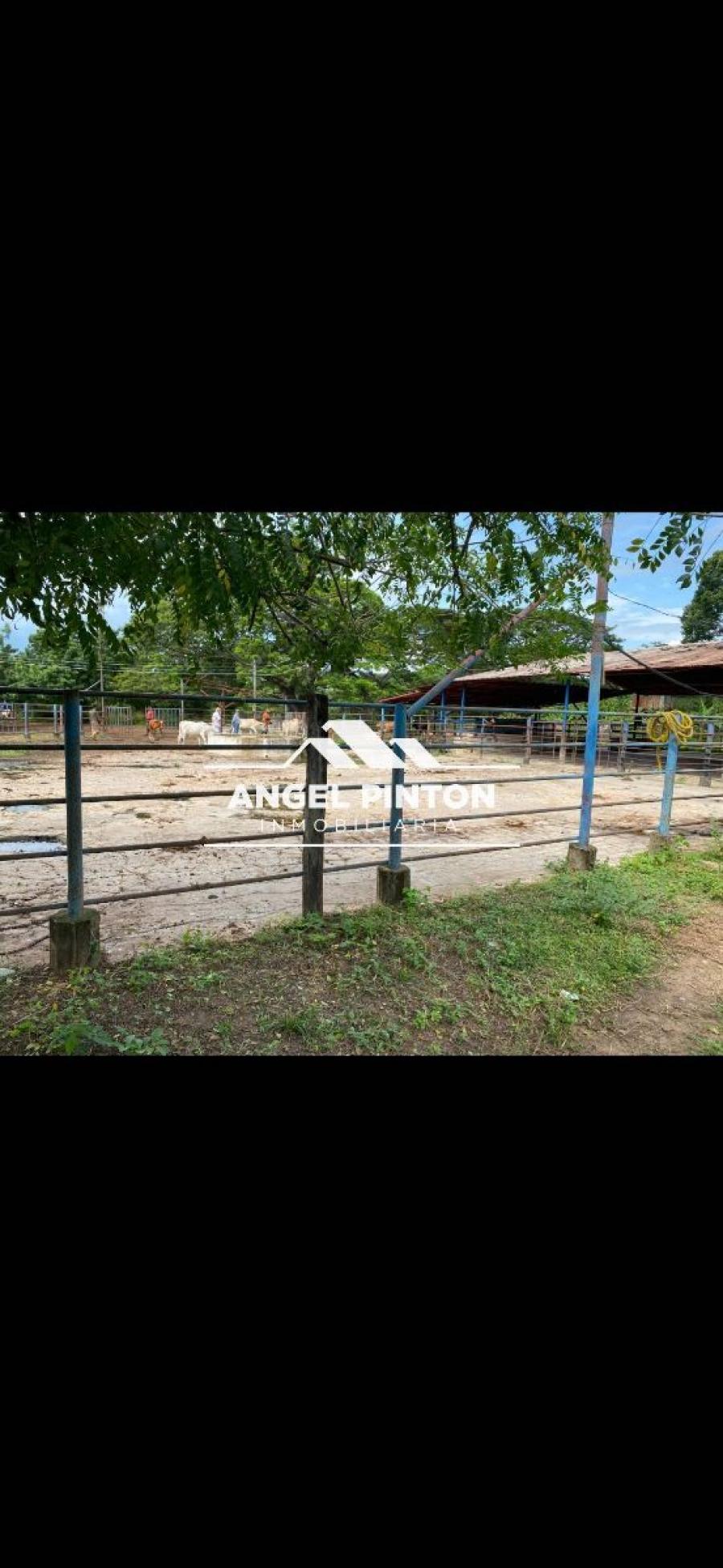 FINCA UBICADA EN VENTA EN MACHIQUES DE PERIJA API 6684