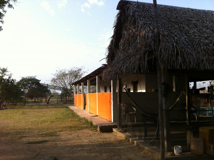 Foto Hacienda en Venta en Guasdualito, Apure - 37 hectareas - BsF 20.000.000 - HAV74629 - BienesOnLine