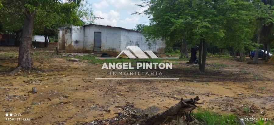 GRANJA VENTA LOS TRES LOCOS VENANCIO PULGAR MARACAIBO #6304 TR