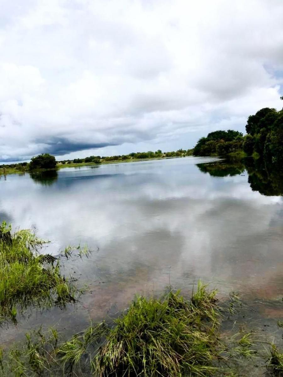 Hato en Venta 11.045 Ha, Agropecuaria 100% Producción Ideal Para Cría de Búfalos,  OCTUBRE  2024