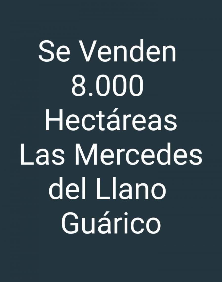 Hato en Venta 8.000 Hectáreas, Guarico, Las Mercedes del Llano, OCTUBRE 2024