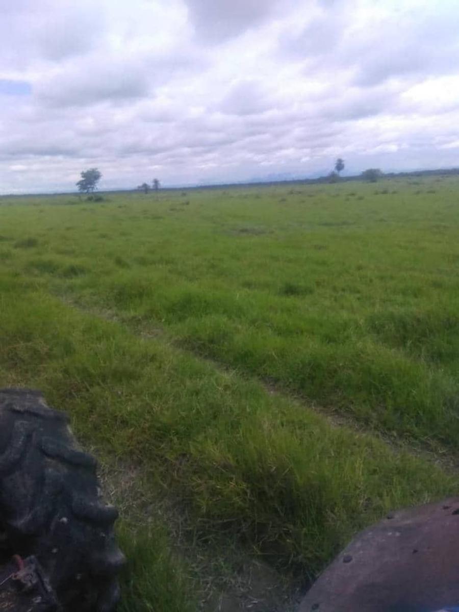 Foto Finca en Venta en Inmobiliaria Agroindustrial, 1.100 Hectáreas Santa Bárbara Barinas, Barinas - 1100 hectareas - U$D 1.650.000 - FIV237044 - BienesOnLine