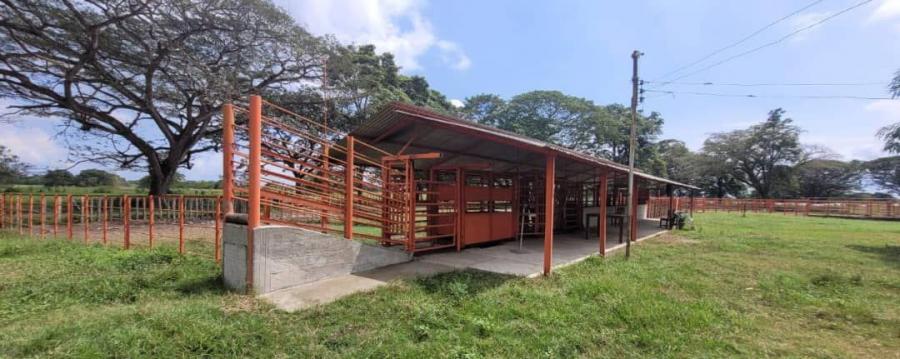 Se Vende 1.361 Hectáreas, Propiedad Privada, Barinas, Semovientes 