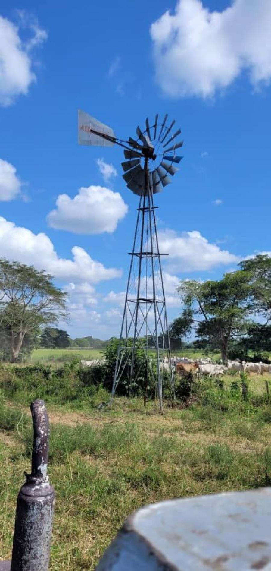 Se Vende 1.361 Hectáreas, Propiedad Privada, Barinas, Semovientes, 40 potreros