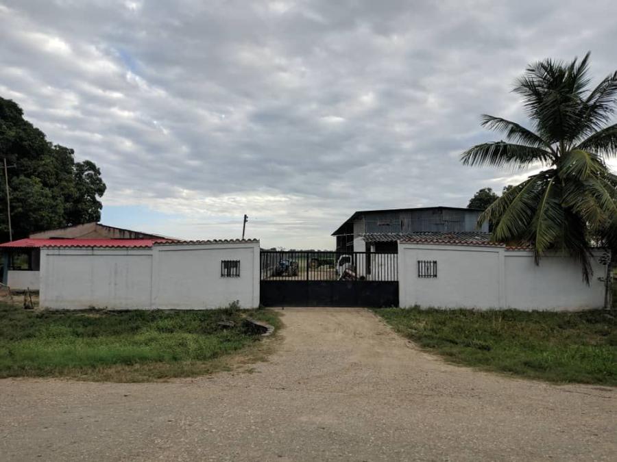 Foto Finca en Venta en Inmobiliaria Agroindustrial, Ciudad de Cojedes, Cojedes - 38 hectareas - U$D 100.000 - FIV235882 - BienesOnLine