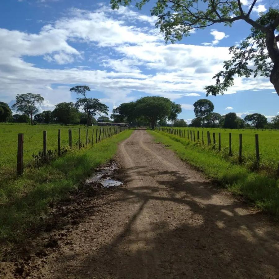 Se Vende Finca 437 Hectáreas, Cojedes Tierra Fértil 