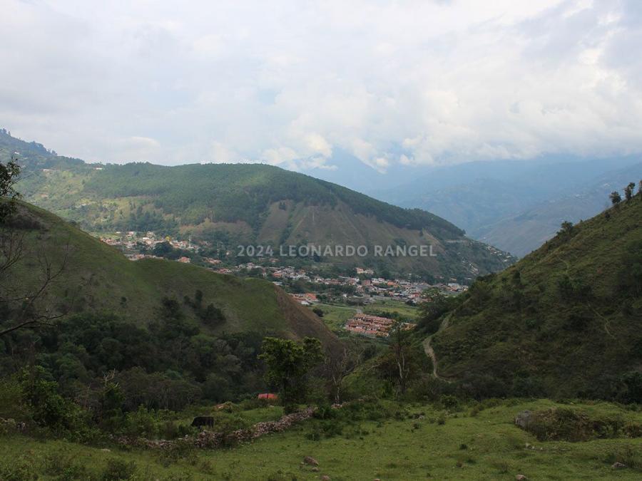 Foto Finca en Venta en Manzano Bajo, Ejido, Mrida, Venezuela, Manzano Bajo, Ejido, Mrida, Venezuela, Mrida - 2 hectareas - U$D 25.000 - FIV231406 - BienesOnLine