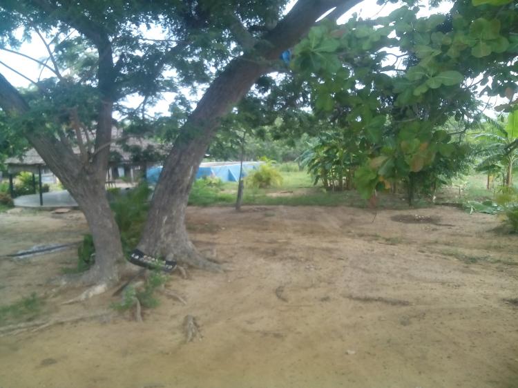 Foto Terreno en Venta en San ignacio, JESUS ENRIQUE LOSADA, Zulia - BsF 100.000 - TEV106039 - BienesOnLine