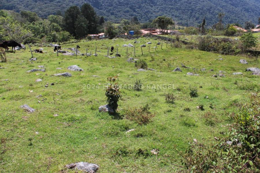 Foto Terreno en Venta en el Valle, Mrida, Mrida - U$D 25.000 - TEV231409 - BienesOnLine