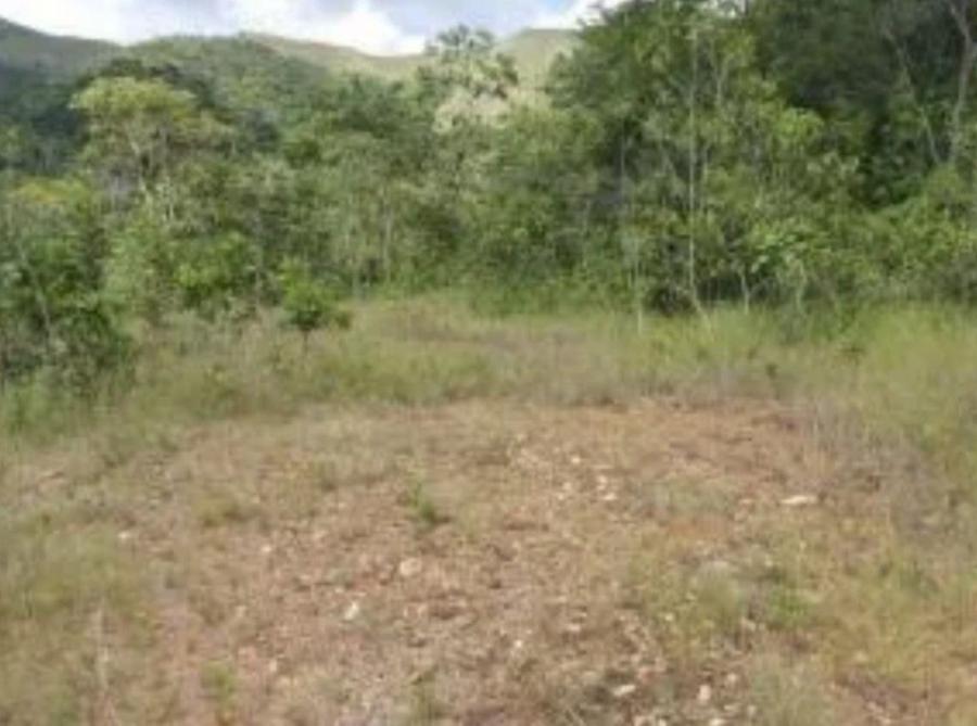 Foto Terreno en Venta en Valencia, Carabobo - U$D 60.000 - TEV139198 - BienesOnLine