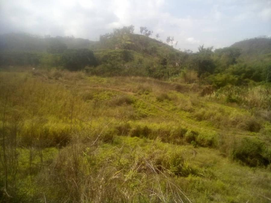 Foto Terreno en Venta en Valencia, Valencia, Carabobo - U$D 300.000 - TEV233778 - BienesOnLine