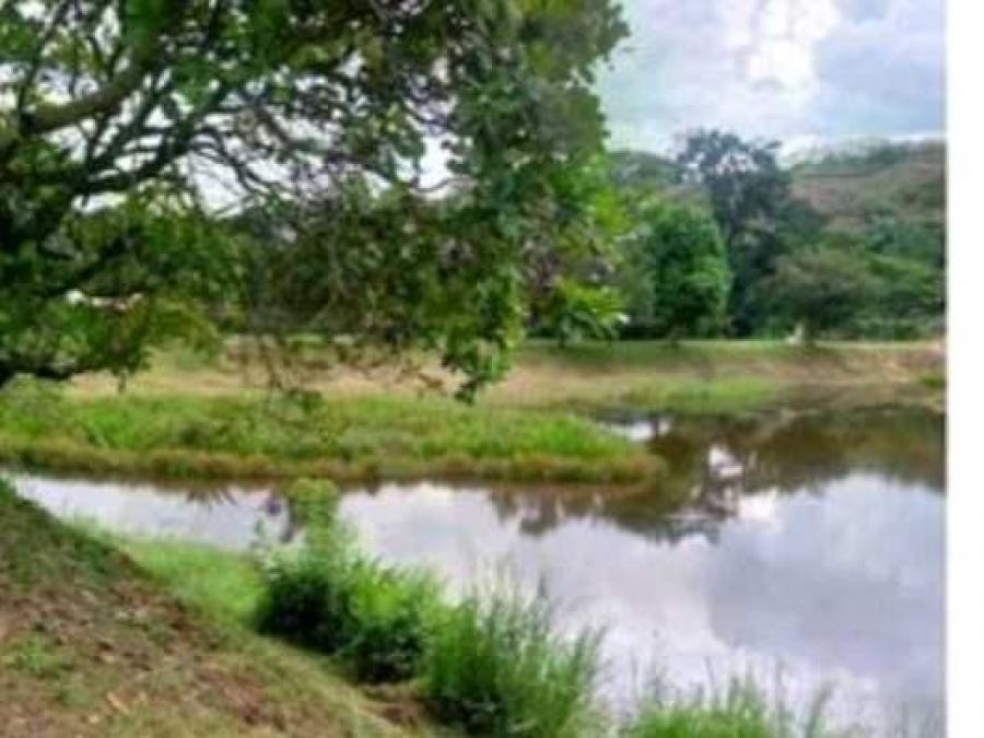 Foto Terreno en Venta en Montalbán, Montalbán, Carabobo - U$D 40.000 - TEV234272 - BienesOnLine