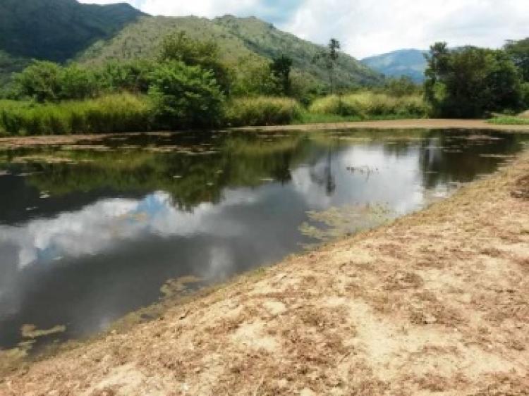 Foto Terreno en Venta en Bejuma, Carabobo - U$D 28.000 - TEV93615 - BienesOnLine