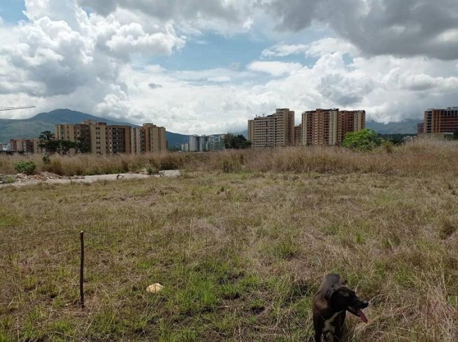 Terreno en venta en Jardín Mañongo, Naguanagua, Carabobo, AB121-51