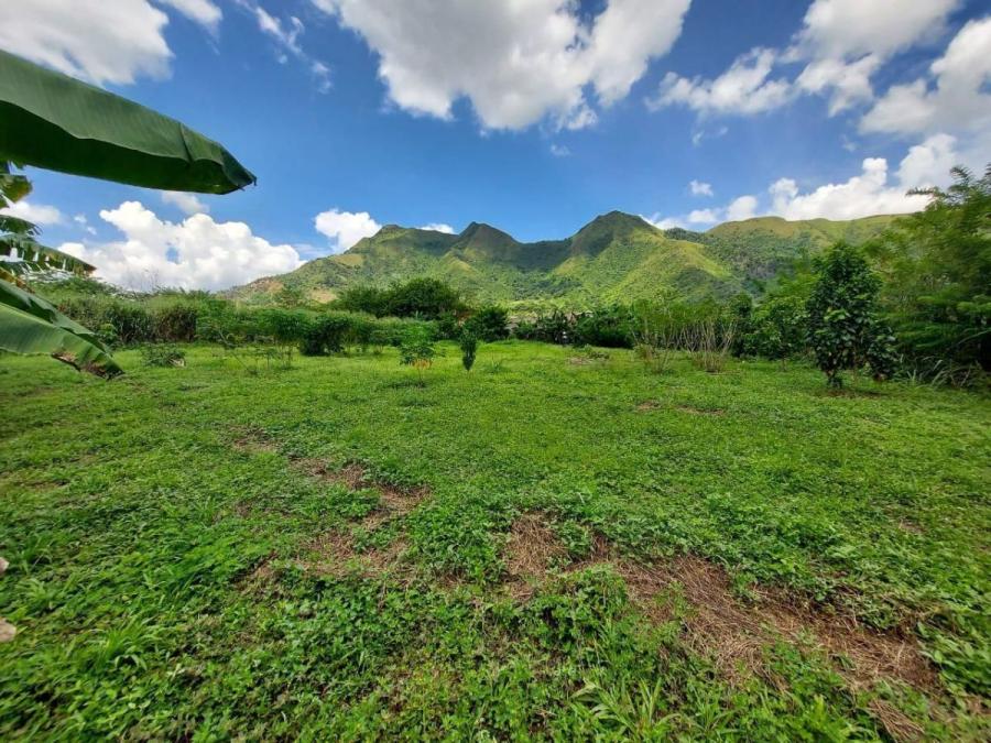 Foto Terreno en Venta en San Diego, Carabobo - U$D 11.000 - TEV236699 - BienesOnLine