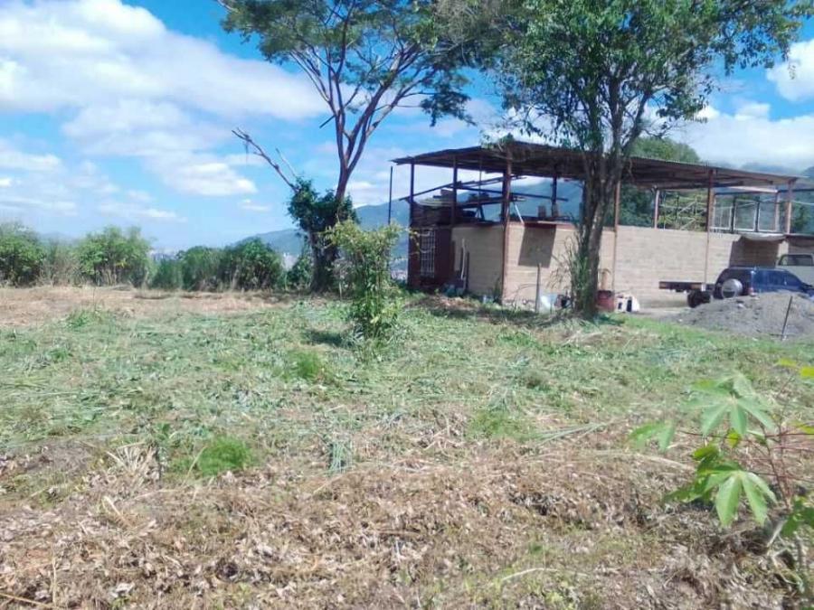 Foto Terreno en Venta en Caracas, Caracas, Distrito Federal - U$D 2.450.000 - TEV233797 - BienesOnLine