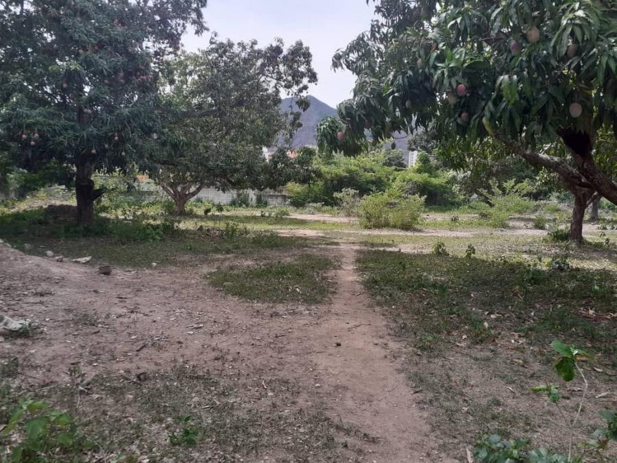 Foto Terreno en Venta en Valencia, Valencia, Carabobo - U$D 300.000 - TEV233429 - BienesOnLine