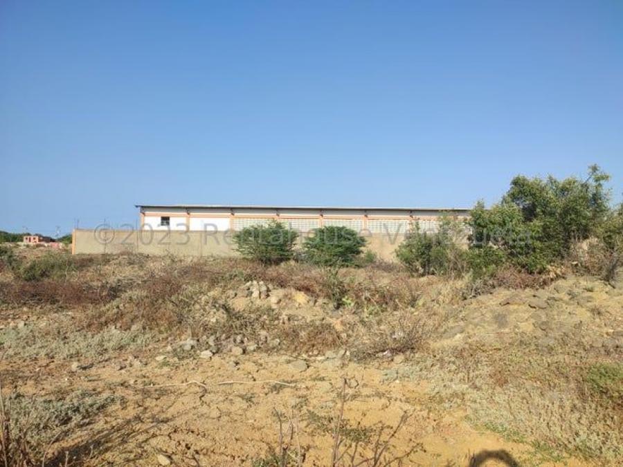 Foto Terreno en Venta en Coro, Falcn - BsF 19.000 - TEV232146 - BienesOnLine