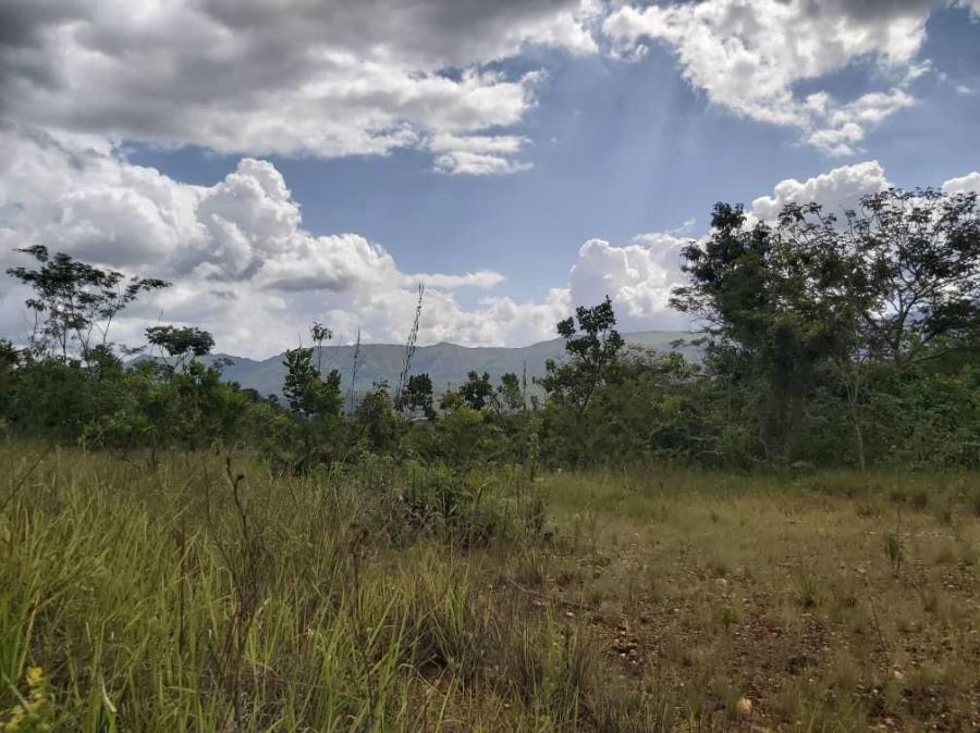 Foto Terreno en Venta en Guataparo, Valencia, Carabobo - U$D 70.000 - TEV136198 - BienesOnLine