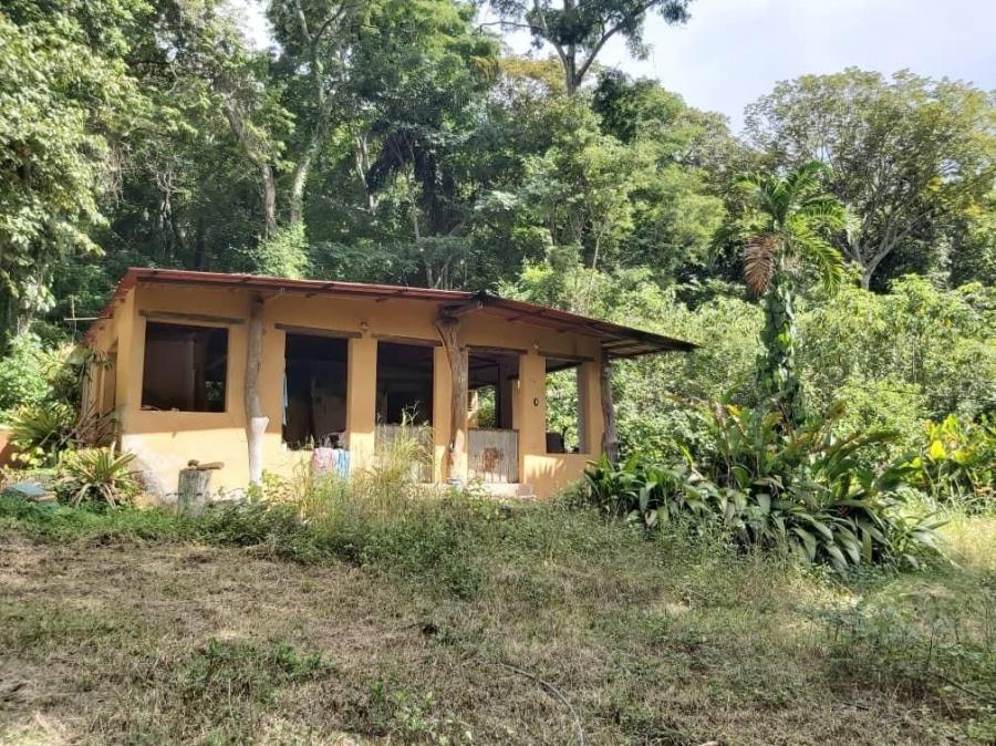 Foto Terreno en Venta en Guataparo, Guataparo, Carabobo - U$D 70.000 - TEV137856 - BienesOnLine