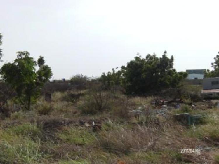 Foto Terreno en Venta en Punto Fijo, Falcón - BsF 40.000 - TEV30578 - BienesOnLine