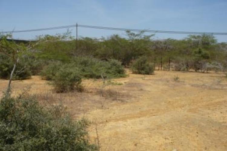 Foto Terreno en Venta en Punto Fijo, Falcón - BsF 50.000 - TEV30955 - BienesOnLine