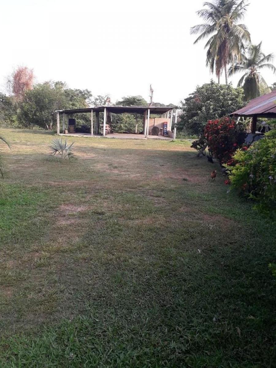 Foto Finca en Venta en BARINAS, Barinas, Barinas - 77 hectareas - U$D 190.000 - FIV127367 - BienesOnLine