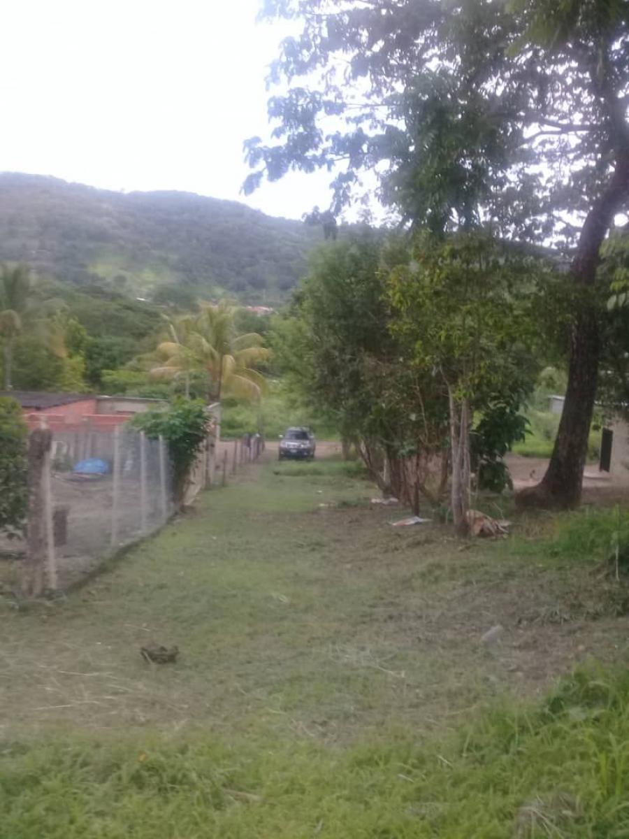 Foto Terreno en Venta en JUAN GERMAN ROCIO, San Juan De Los Morros, Guárico - U$D 3.500 - TEV157773 - BienesOnLine