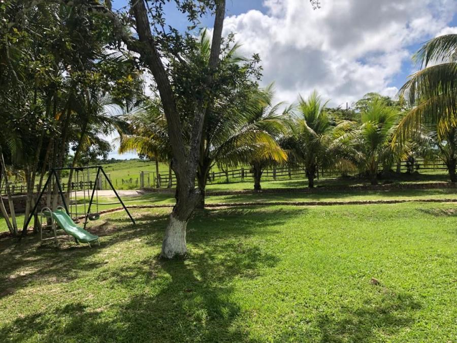 Foto Finca en Venta en El Palmar, Bolívar - U$D 1.000.000 - FIV235002 - BienesOnLine